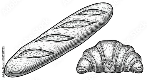 Black and white of a baguette and a croissant bread pastry