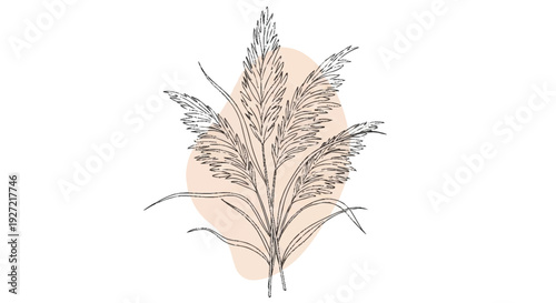 Black and white of a feather with a beige background oval shape bird feather