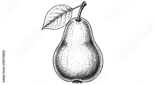 Black and white of a pear with a leaf fruit monochrome