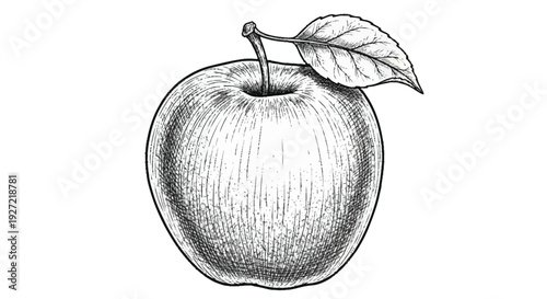Black and white of an apple with a leaf fruit monochrome