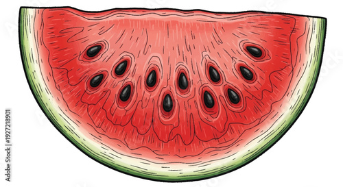 Watermelon slice with black seeds and green rind on white background fruit