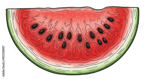 Watermelon slice with red pulp and black seeds fruit green