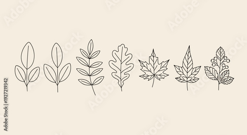 Minimalist Leaf Line Art Collection – Hand-Drawn Botanical Foliage Illustration Set