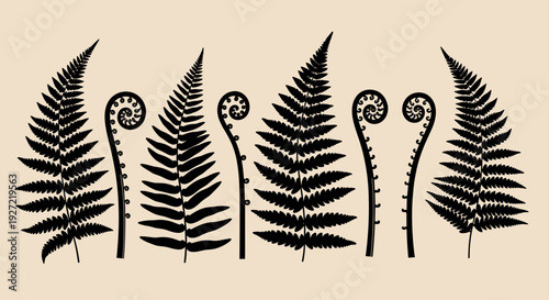 Vintage Fern Silhouette Collection – Botanical Black Foliage Clipart Set