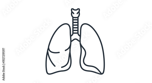 Simple line art icon of human lungs for medical and health concepts.