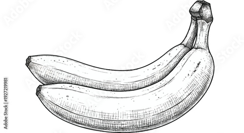 Two bananas with stem on white background fruit black and white