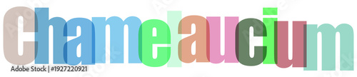 Colorful Chameaucium Text on White Background