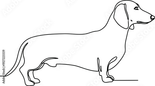 Dachshund Dog Single Continuous Line Icon, Minimalist Long Body Pet Outline