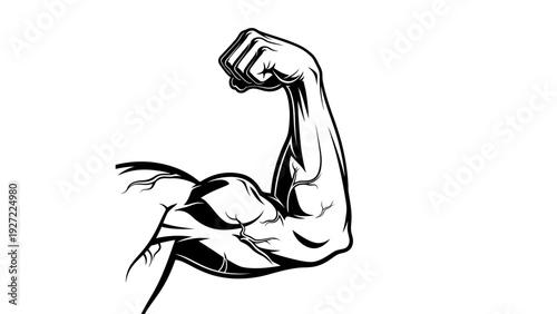Muscular Arm Flexed Bicep Muscle.