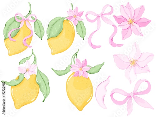 Pink Coquette Lemon Clipart Set with Floral Blossoms, Ribbons and Bows, Isolated Elements.