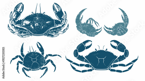 Artistic depiction of various crab illustrations. Four different aquatic arthropods are shown on a white background