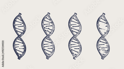 Four stylized renderings of DNA double helix structures. Dark blue on a light background