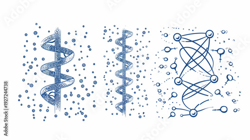 Blue illustrations depict a helix, a single strand of spiral structure, and interconnected nodes on white