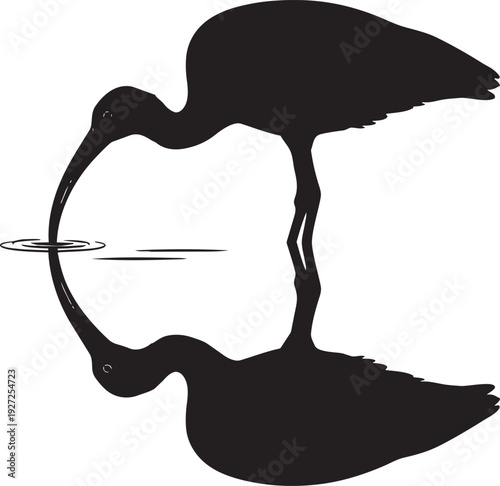 Isolated vector illustration of a cute pink flamingo and a wild crane with feathers and beaks near a bird in a cage or nest for a nature wildlife art silhouette