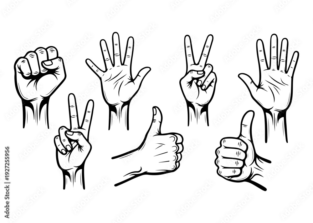 Fototapeta premium Set of various hand gestures in black and white line art style, including fist, open palm, peace sign, and thumbs up.