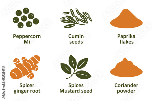 Vibrant Spices and Herbs Illustrated in Minimalist Design