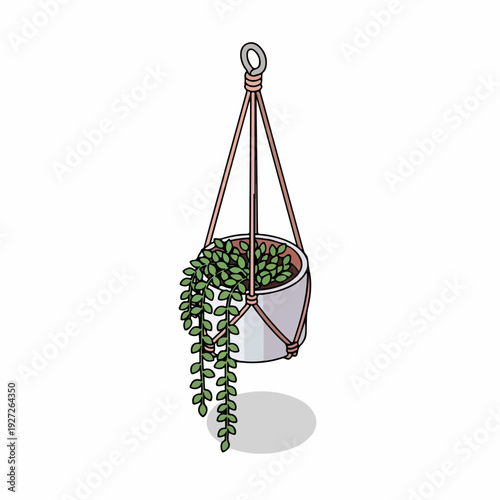 Isometric Style Hanging String of Pearls Plant in White Pot Illustration