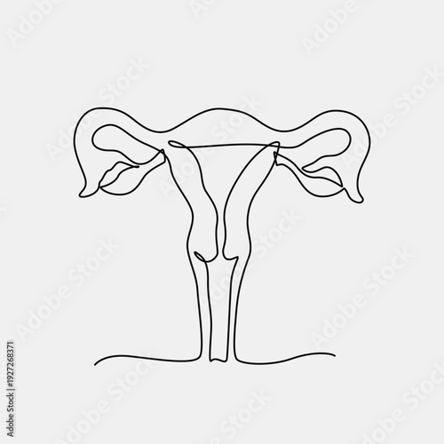 Uterus one line drawing. Uterus single line illustration. Uterus minimalist line art. Uterus vector art
