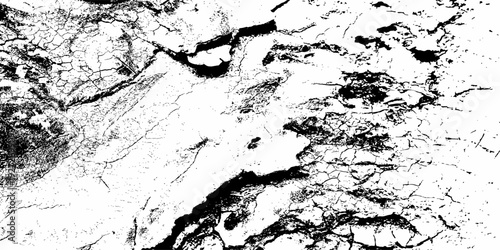 Tree bark texture background vector,Black and white background