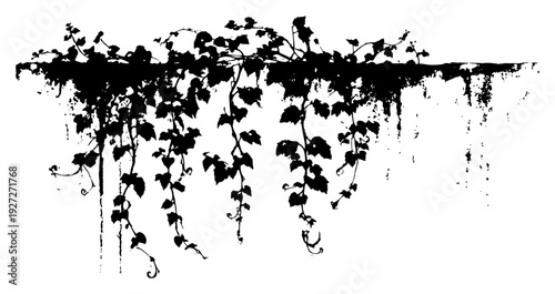 Hanging ivy vines and leaves silhouette with grunge texture and artistic paint splatters