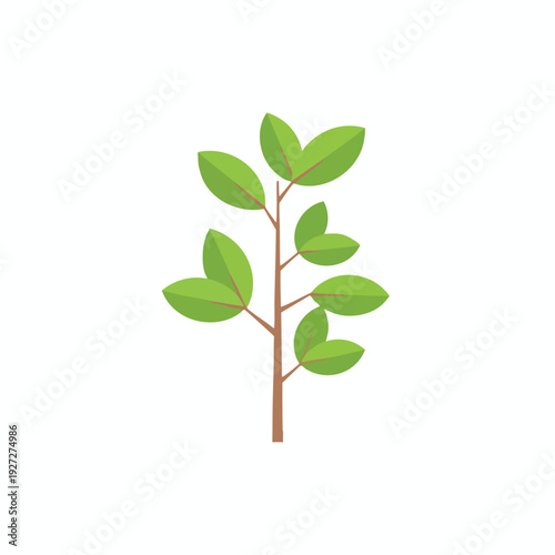 Fresh Green Leafy Plant with Bright Natural Background for Eco and Nature Concepts