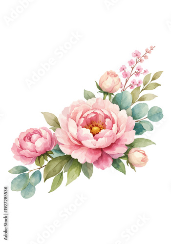 Watercolor vector hand painting illustration of peony flowers and green leaves.