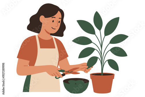 Asian female adult gardening indoors with shears and potted plant.