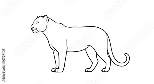Simple line art drawing of a majestic panther standing in profile.