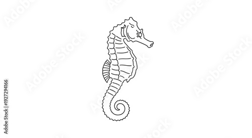Detailed Line Art Illustration of a Graceful Seahorse.