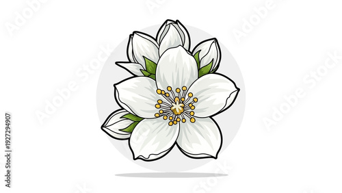 A serene graphic illustration of a white flower with green leaves and yellow stamens viewed from the front
