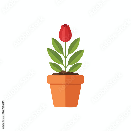 Decorative Red Tulip in a Terracotta Pot for Home Garden or Indoor Decor