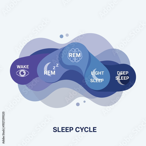 Visual representation of a sleep cycle diagram illustrating stages of rest