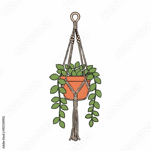 Decorative Hanging Plant Holder With Green Leaves In A Terracotta Pot