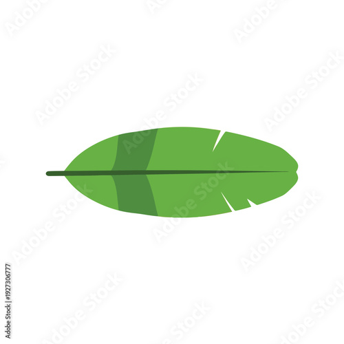 Green banana leaf vector clipart isolated on white, tropical plant flat illustration