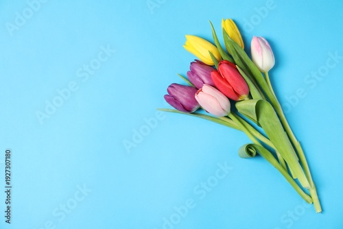 Beautiful colorful tulip flowers on light blue background, top view. Space for text