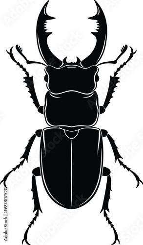 Black stag beetle silhouette vector illustration with large mandibles isolated on white background for nature wildlife insect conservation graphic design projects and biology education