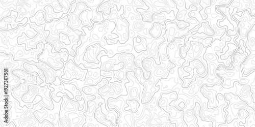 Gray abstract topographic map contour lines on white background