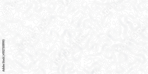 Gray topographic map contour lines on white background texture pattern
