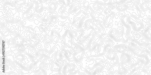 Gray topographic map lines on white background for design and illustration purposes