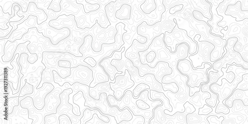 Gray topographic map lines on white background for design and texture