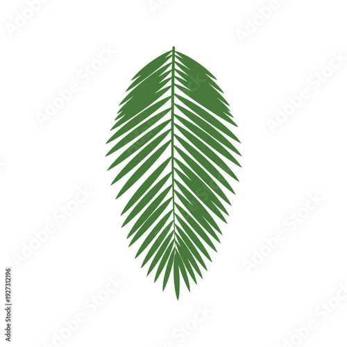 Green palm leaf vector clipart isolated on white background for tropical design