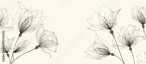 Floral art background with transparent black and white flowers. Botanical banner for decor, wallpaper, packaging, prints, posters, and interior design.