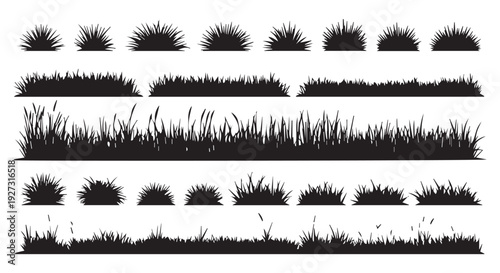 Collection of various black silhouette grass and weed textures and borders for design