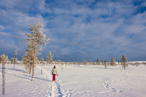 Canvas Print Hiking to the summit of Mount Kiilopää during a spectacular arctic sunset in Finnish Lapland
