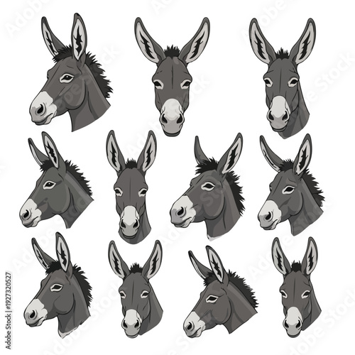 Donkey faces in different directions and angles