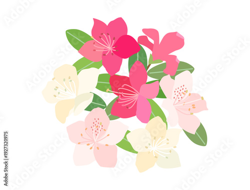 3色のツツジの花をイメージしたイラスト