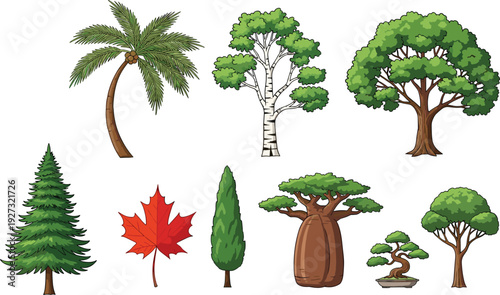 Tree collection various species palm pine maple bonsai illustration isolated on light background nature botanical forest plant design set