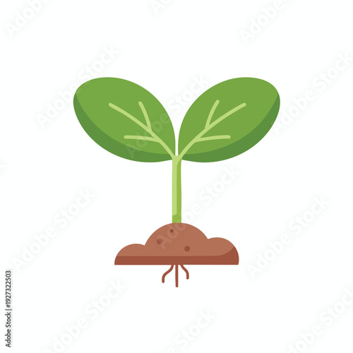 Young Plant Growing with Fresh Green Leaves in Soil