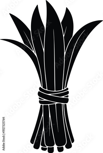 silhouette fresh organic lemongrass culinary cooking ingredient plant bundle vector design