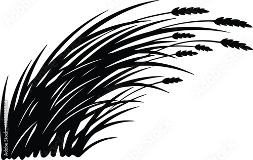 silhouette natural long flowing grass wheat stalks farm organic plant vector design